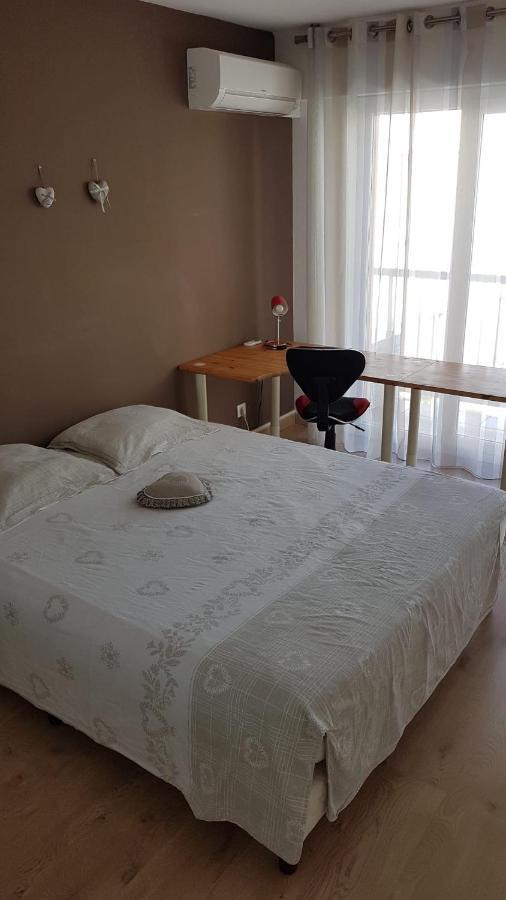 Tres Beau 3 Pieces Spacieux Lumineux Et Climatise Nice Eksteriør bilde